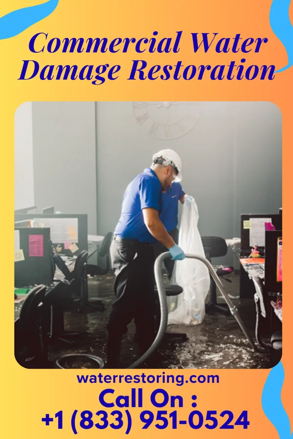 Commercial Water Damage Restoration in Los Altos, TX